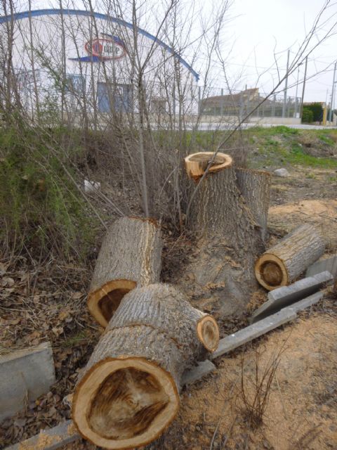 HUERMUR propone a la ciudadanía celebrar una “Semana de la Huerta Real”, más activa, participativa y reivindicativa - 1, Foto 1