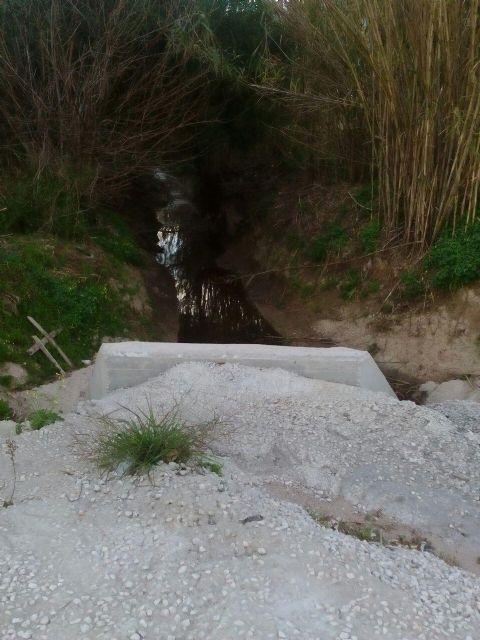 HUERMUR propone a la ciudadanía celebrar una “Semana de la Huerta Real”, más activa, participativa y reivindicativa - 2, Foto 2