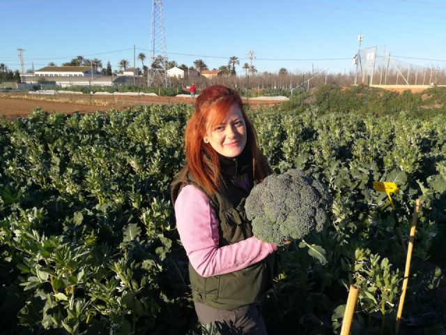 Rotar cultivos con caupí, ‘receta UPCT’ para mejorar el rendimiento y reducir los fertilizantes nitrogenados - 2, Foto 2
