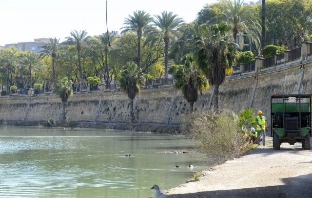 Las obras del paseo fluvial ´Murcia Río´ encaran su ecuador y el Ayuntamiento inicia la revegetación de las motas - 4, Foto 4