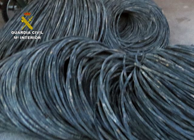 La Guardia Civil investiga a tres personas dedicadas a cometer hurtos en fincas de Torre Pacheco - 3, Foto 3