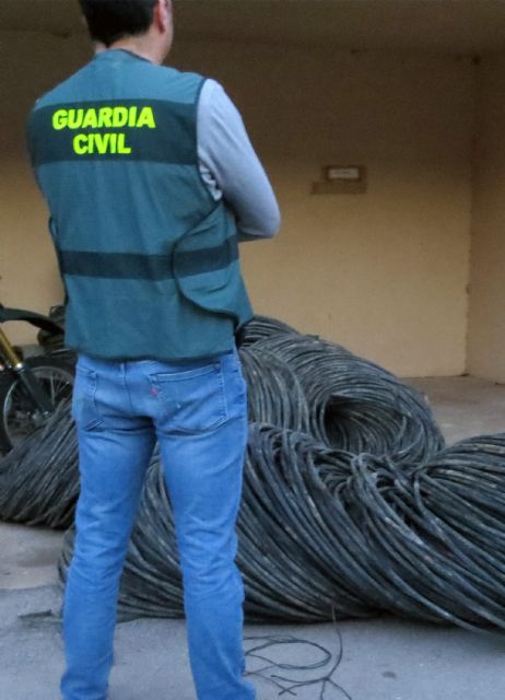 La Guardia Civil investiga a tres personas dedicadas a cometer hurtos en fincas de Torre Pacheco - 4, Foto 4