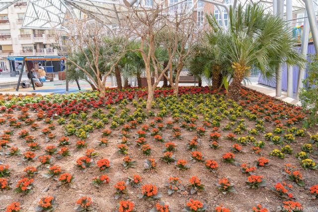 Seis mil nuevas flores adornan el jardín de la Plaza del Rey - 1, Foto 1