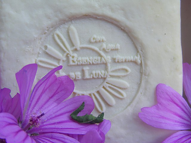 Lateuaterra lanza la segunda edición de los premios ‘Juntas por el Clima’ para ecoemprendedoras - 1, Foto 1