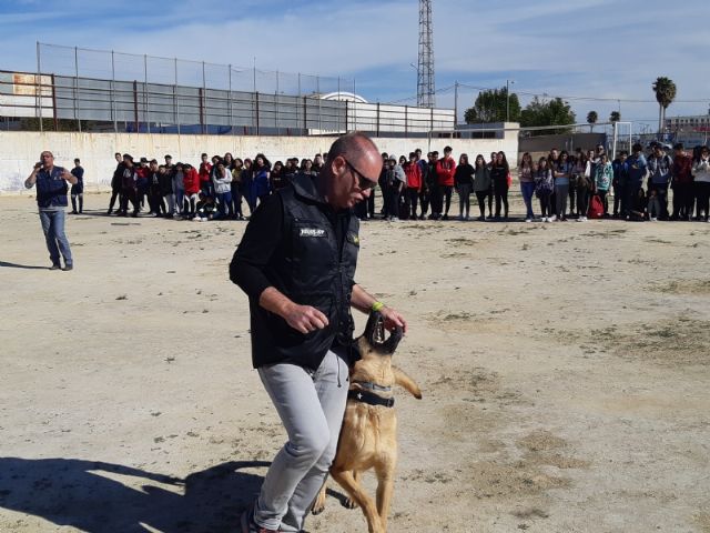 Alumnos del IES Prado Mayor asisten a una exhibición canina de animales que trabajan para contribuir a la recuperación psicológica de víctimas de violencia de género - 2, Foto 2