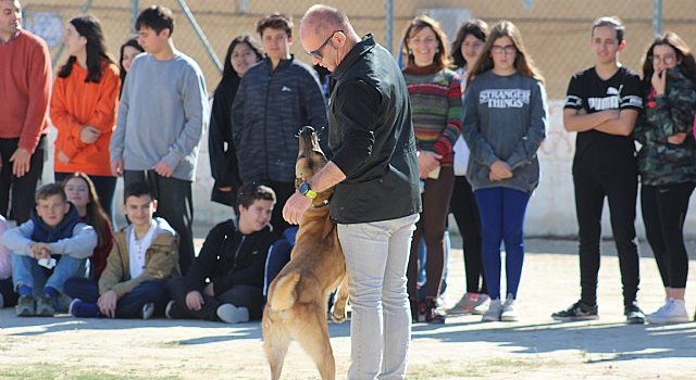 Exhibición canina de animales que trabajan para contribuir a la recuperación psicológica de víctimas de violencia de género, Foto 3