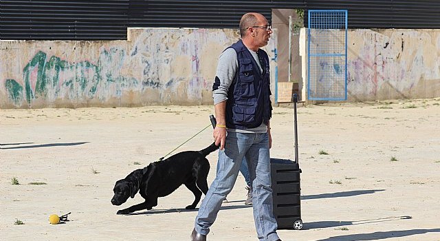 Exhibición canina de animales que trabajan para contribuir a la recuperación psicológica de víctimas de violencia de género, Foto 4
