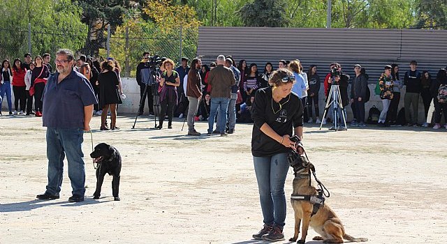 Exhibición canina de animales que trabajan para contribuir a la recuperación psicológica de víctimas de violencia de género, Foto 5
