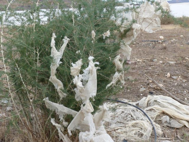 IU-Verdes exige el cumplimiento del acuerdo de Pleno sobre elaboración de una ordenanza de gestión de plásticos agrícolas - 1, Foto 1