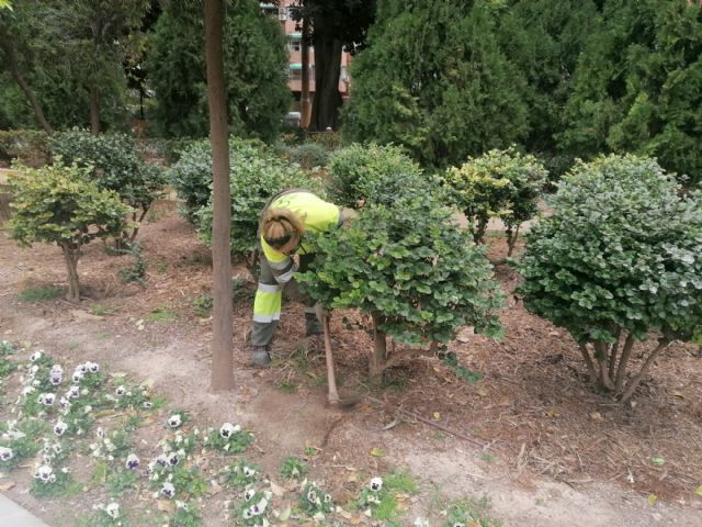 El Ayuntamiento intensifica las tareas de escarda en parterres para conseguir que el agua y nutrientes lleguen mejor a las raíces de las plantas - 1, Foto 1