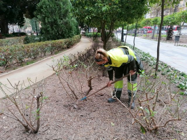 El Ayuntamiento intensifica las tareas de escarda en parterres para conseguir que el agua y nutrientes lleguen mejor a las raíces de las plantas - 2, Foto 2