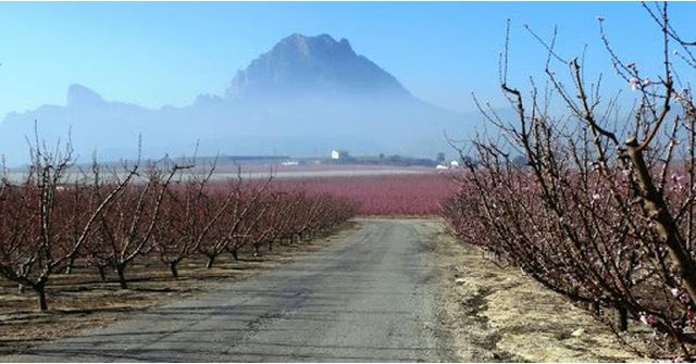 Nueva inversión de 78.000 € en caminos rurales - 1, Foto 1