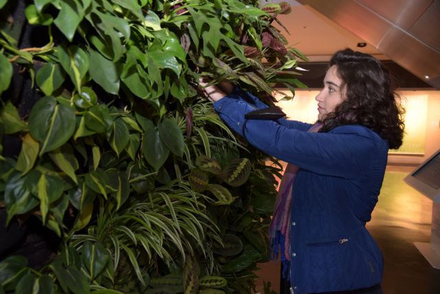 Jardín vertical para probar la mejora de la calidad del aire en interior de un centro comercial de Cartagena - 1, Foto 1