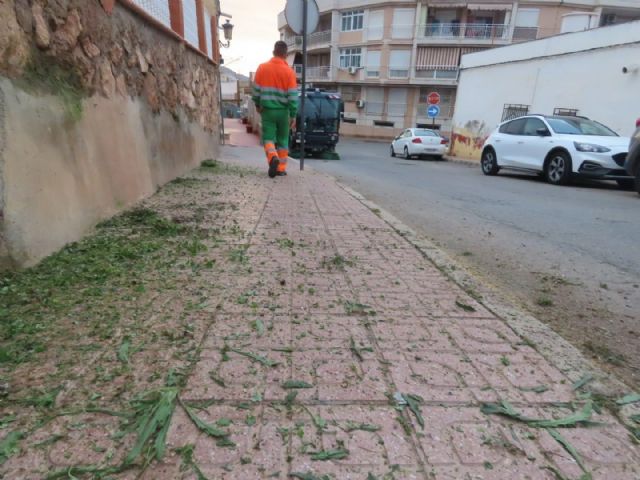 El Ayuntamiento lleva a cabo una actuación de limpieza en profundidad en el Cabezo del disco - 1, Foto 1