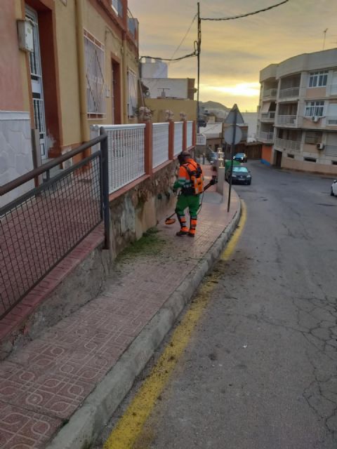 El Ayuntamiento lleva a cabo una actuación de limpieza en profundidad en el Cabezo del disco - 3, Foto 3