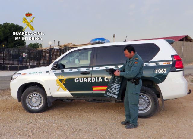 La Guardia Civil investiga a una persona por la muerte de un halcón peregrino en Librilla - 2, Foto 2