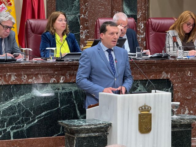 El PSOE exige al Gobierno regional que cumpla la Ley del Mar Menor y el mandato de la Asamblea, y apruebe de una vez el Plan de Ordenación Territorial de la Cuenca Vertiente - 1, Foto 1