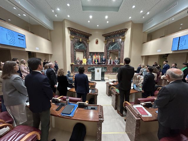 La Asamblea Regional de Murcia guarda un minuto de silencio por la víctima de las lluvias torrenciales - 2, Foto 2