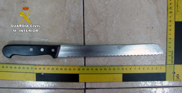 La Guardia Civil detiene a un violento delincuente en San Pedro del Pinatar - 3, Foto 3