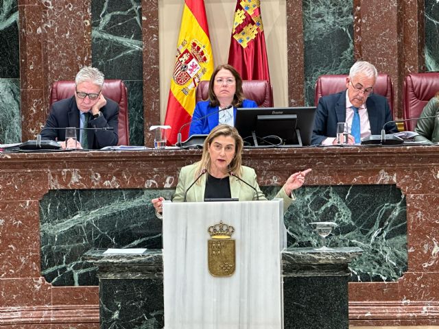Carmina Fernández exige al Gobierno regional que depure responsabilidades por la contaminación industrial en Cartagena y proteja el medio ambiente y la salud de todos - 1, Foto 1