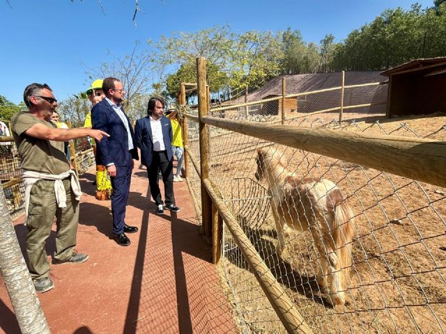 El parque zoológico municipal Terra Natura inaugura su nueva granja escuela con 28 animales enanos - 3, Foto 3