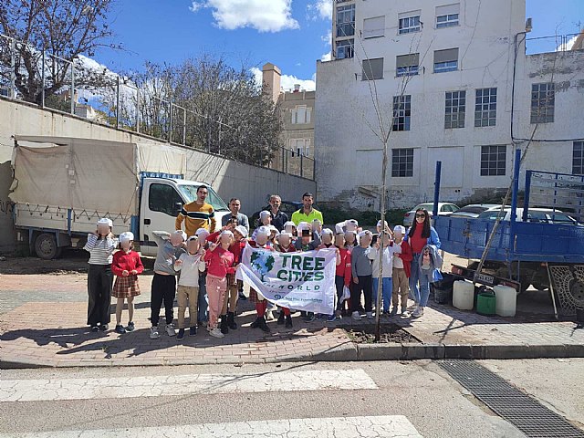 Cieza vuelve a ser reconocida como Tree city of the world - 1, Foto 1