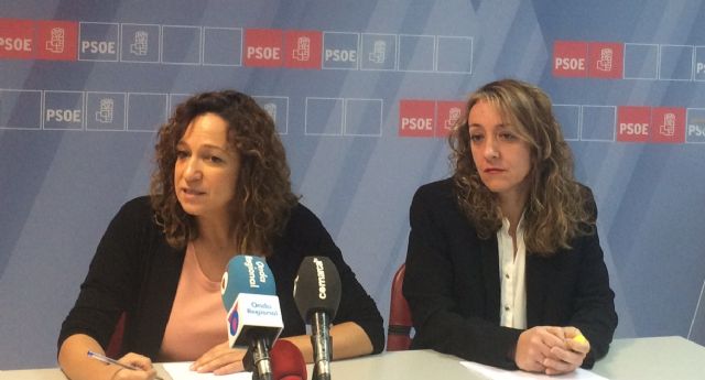 El PSOE pide a la CARM que el arreglo del gimnasio del IES Ibáñez Martín se incluya en el Plan Director - 2, Foto 2