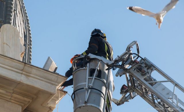 La constancia en las campañas de control gaviotas pone freno a su proliferación en Cartagena - 3, Foto 3