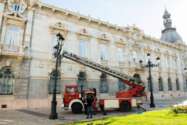La constancia en las campañas de control gaviotas pone freno a su proliferación en Cartagena - 4, Foto 4