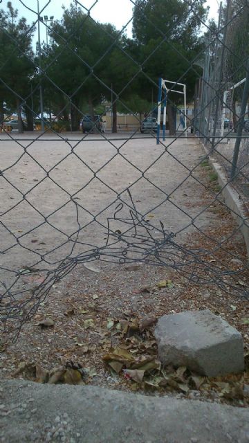 IU-V: La dejación de la Sra. Ibarra es un riesgo para la salud de los lorquinos - 2, Foto 2