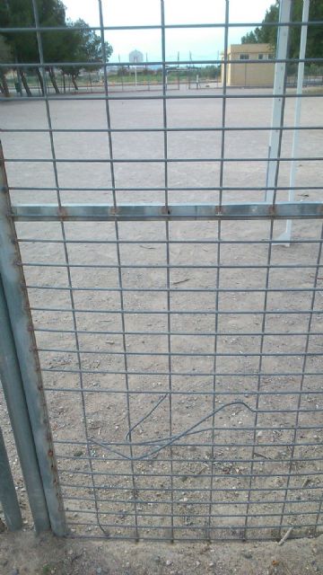 IU-V: La dejación de la Sra. Ibarra es un riesgo para la salud de los lorquinos - 4, Foto 4