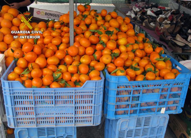 La Guardia Civil detiene a cuatro personas por la sustracción de quince toneladas de mandarinas - 1, Foto 1