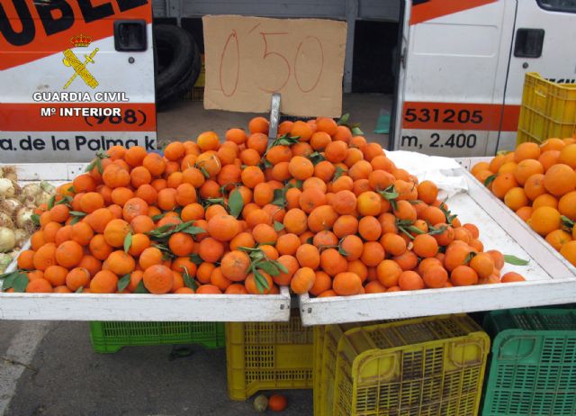 La Guardia Civil detiene a cuatro personas por la sustracción de quince toneladas de mandarinas - 2, Foto 2