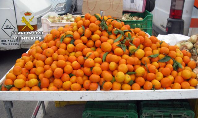 La Guardia Civil detiene a cuatro personas por la sustracción de quince toneladas de mandarinas - 3, Foto 3