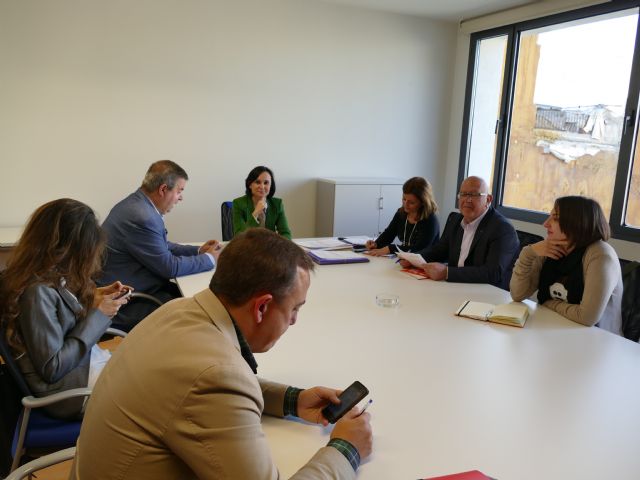 Las adjudicaciones del mantenimiento de la vía pública, teleasistencia y ayuda a domicilio permitirán realizar más actuaciones y servicios por el mismo dinero - 5, Foto 5