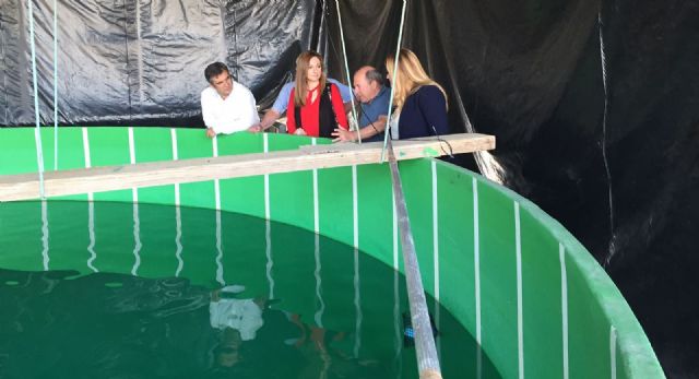 Vázquez: El Crecimiento Azul será una de los compromisos del Partido Popular para la próxima legislatura - 1, Foto 1