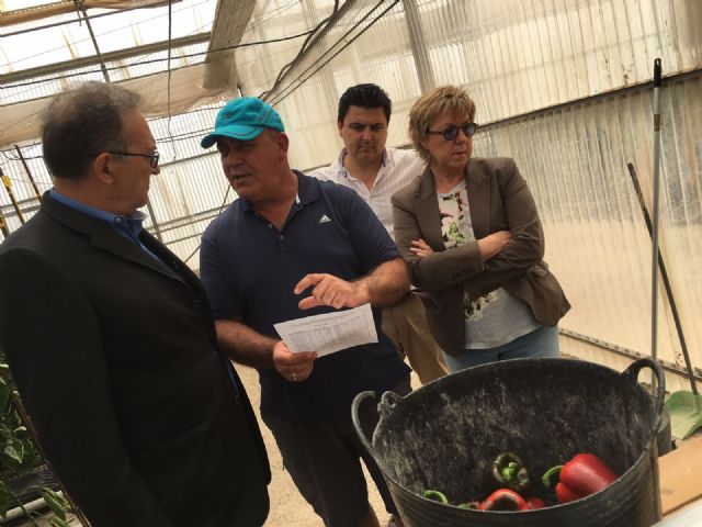 Senadores del PP visitan las instalaciones del Centro de demostración tecnológica y transferencia de El Mirador - 1, Foto 1