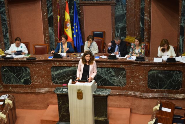 Patricia Fernández: Proponer la adjudicación a dedo de la gestión del aeropuerto de Corvera a AENA es una ilegalidad - 1, Foto 1