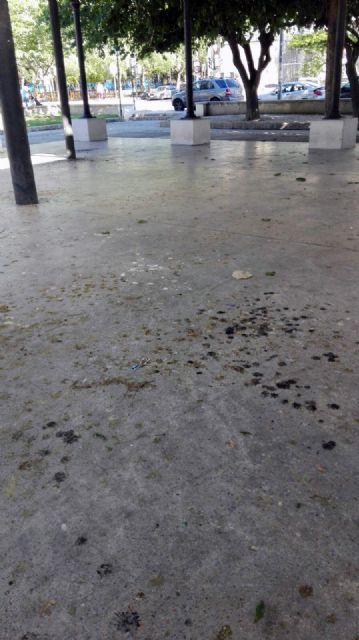 Cs reclama al Gobierno local medidas disuasorias para combatir la plaga de palomas en la pérgola de San Basilio - 1, Foto 1