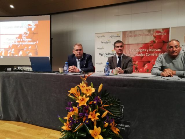 La producción de tomate en la Región de Murcia aumentó un 7,3 por ciento en 2018 - 1, Foto 1