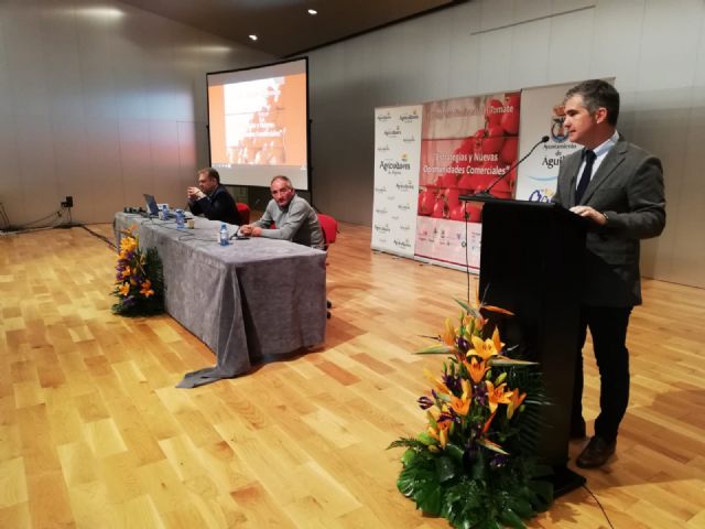 La producción de tomate en la Región de Murcia aumentó un 7,3 por ciento en 2018 - 2, Foto 2