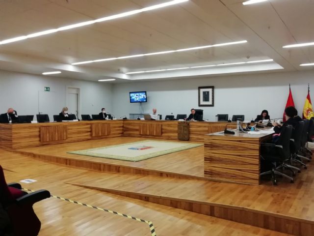 El Ayuntamiento de Torre Pacheco celebra su primer pleno semi-telemático - 4, Foto 4