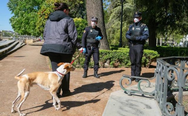 Saorín pide respeto a las normas sobre paseo de perros - 1, Foto 1