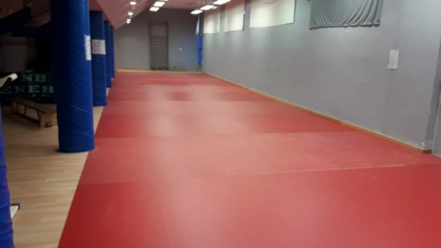 Sustituyen el pavimento sintético de la Sala de Tenis de Mesa del Pabellón de Deportes Manolo Ibáñez, Foto 3