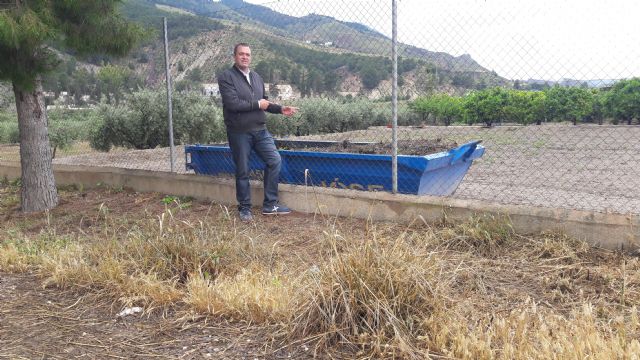 El PP propone el establecimiento de un servicio de recogida de restos de podas y desbroces ante la ingente proliferación de rastrojos por las lluvias - 1, Foto 1