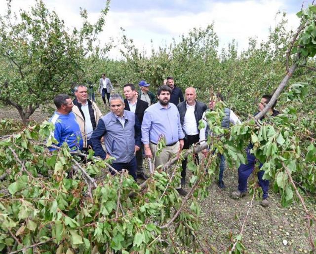 Cano: En menos de 24 horas, el presidente López Miras da respuesta inmediata a los agricultores afectados por el granizo - 1, Foto 1