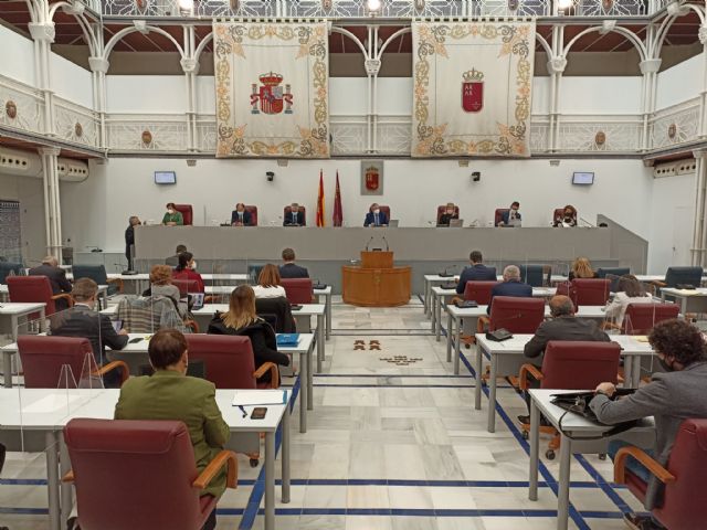 La Asamblea Regional celebra el Pleno número 100 de la X Legislatura - 1, Foto 1