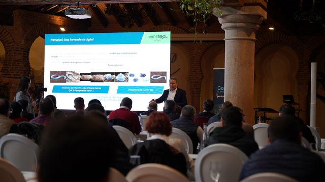 Protección total para el tomate de invernadero - 2, Foto 2