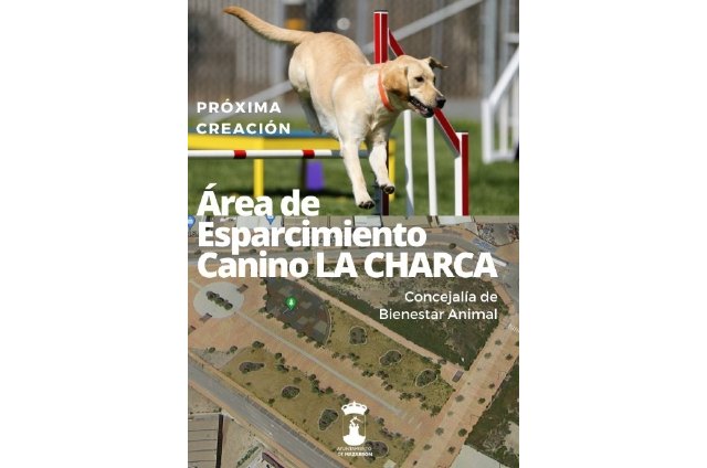 Puerto de Mazarrón contará con la primera área de esparcimiento canino del municipio, Foto 1
