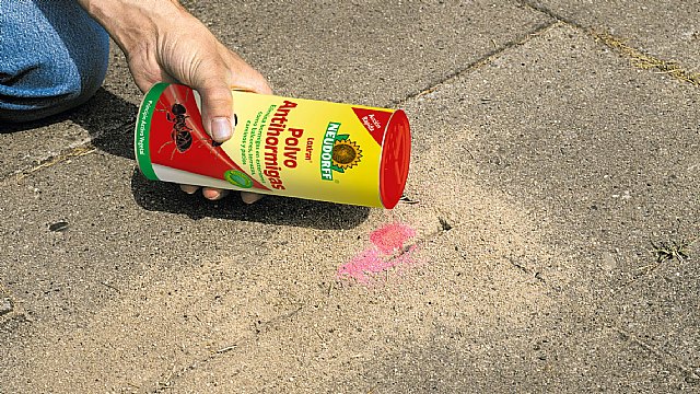 Evitar de forma controlada los daños causados por lashormigas - 1, Foto 1